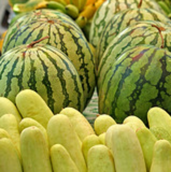 Cucumber Melon Body Lotion - Picture 7 of 8